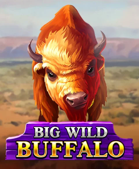 Play Big Wild Buffalo at Spice Bingo Casino